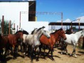 /album/fotogaleria-sobre-nosotros/a13062015-010-jpg/